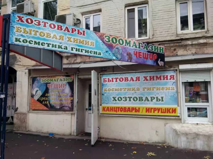 Зоомагазин Чешир в Ростове-на-Дону: Зоомагазин, Зоотовары, Животные,