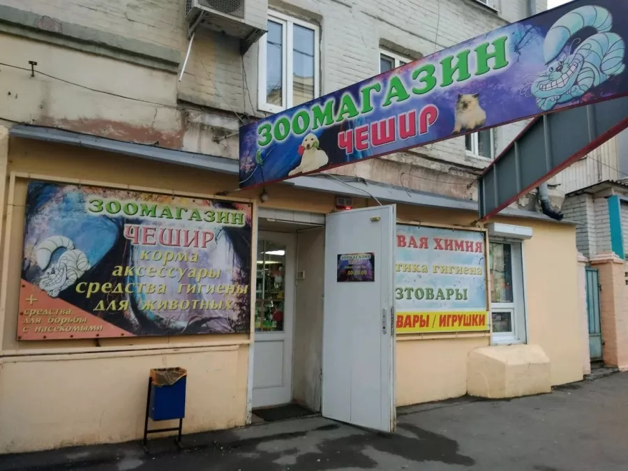 Зоомагазин Чешир в Ростове-на-Дону: Зоомагазин, Зоотовары, Животные,