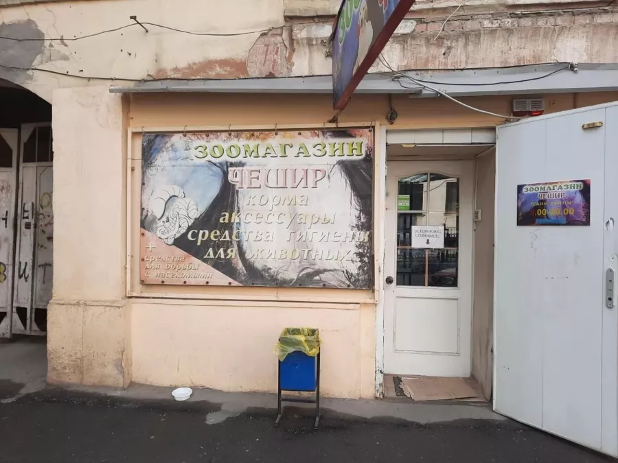 Зоомагазин Чешир в Ростове-на-Дону: Зоомагазин, Зоотовары, Животные,