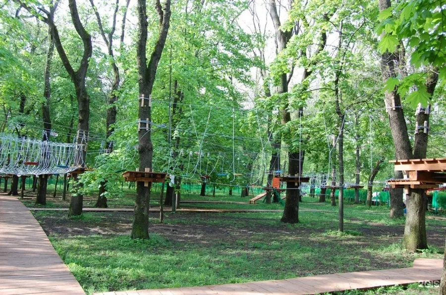 Веревочный парк Джунгли в парке им. Островского в Ростове-на-Дону: Веревочный парк, Канатный парк, Тайпарк,