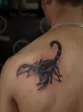 Миниатюра 2