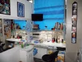 Миниатюра 12