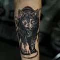 Миниатюра 10