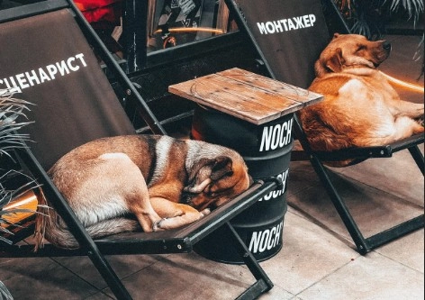 Кофейня Noch' Box в Адлере: Доставка еды, Кофе на вынос, Панорамный ресторан, Терраса, Завтрак, Прохладные напитки,