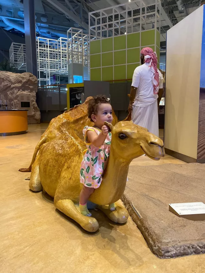 Образовательный центр Children’s City в Дубаи: Центр, Образование, Учимся,