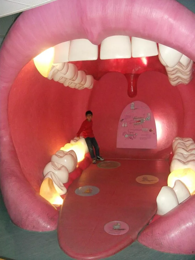 Образовательный центр Children’s City в Дубаи: Центр, Образование, Учимся,