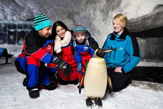 Горнолыжный комплекс "Ski Dubai"