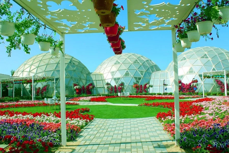 Сад бабочек Butterfly Garden в Дубаи: Сад , Ручные бабочки , Музей бабочек , Оранжерея , Экзотические виды бабочек ,