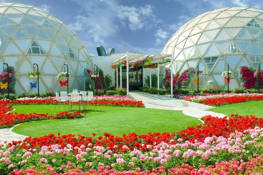 Сад бабочек Butterfly Garden в Дубаи: Сад , Ручные бабочки , Музей бабочек , Оранжерея , Экзотические виды бабочек ,