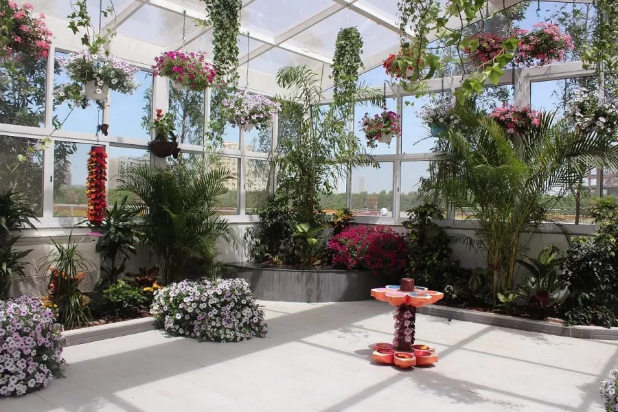 Сад бабочек Butterfly Garden в Дубаи: Сад , Ручные бабочки , Музей бабочек , Оранжерея , Экзотические виды бабочек ,