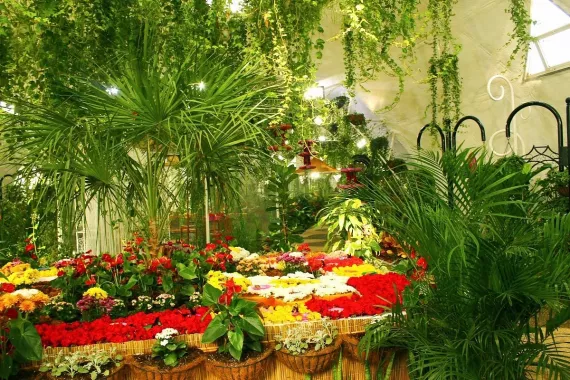 Сад бабочек "Butterfly Garden"