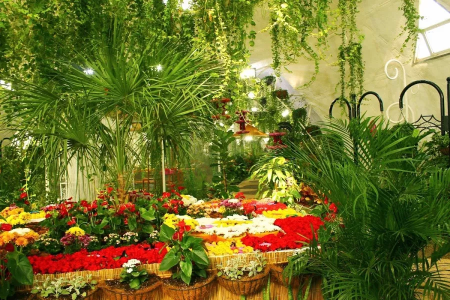 Сад бабочек Butterfly Garden в Дубаи: Сад , Ручные бабочки , Музей бабочек , Оранжерея , Экзотические виды бабочек ,