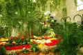 Миниатюра 11