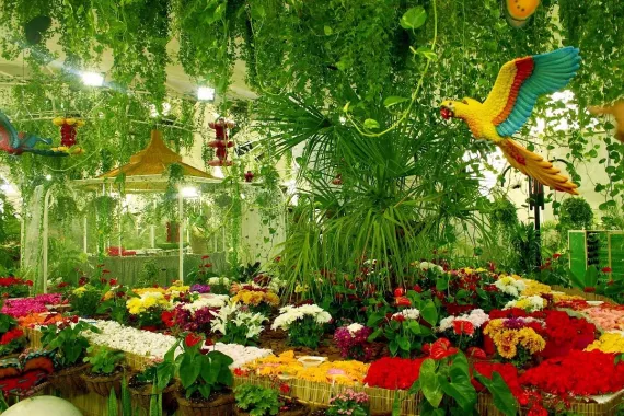 Сад бабочек "Butterfly Garden"