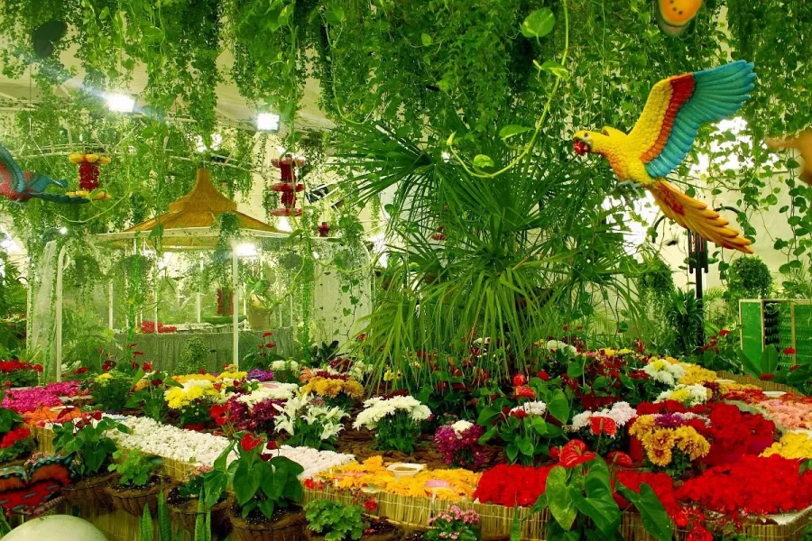 Сад бабочек Butterfly Garden в Дубаи: Сад , Ручные бабочки , Музей бабочек , Оранжерея , Экзотические виды бабочек ,