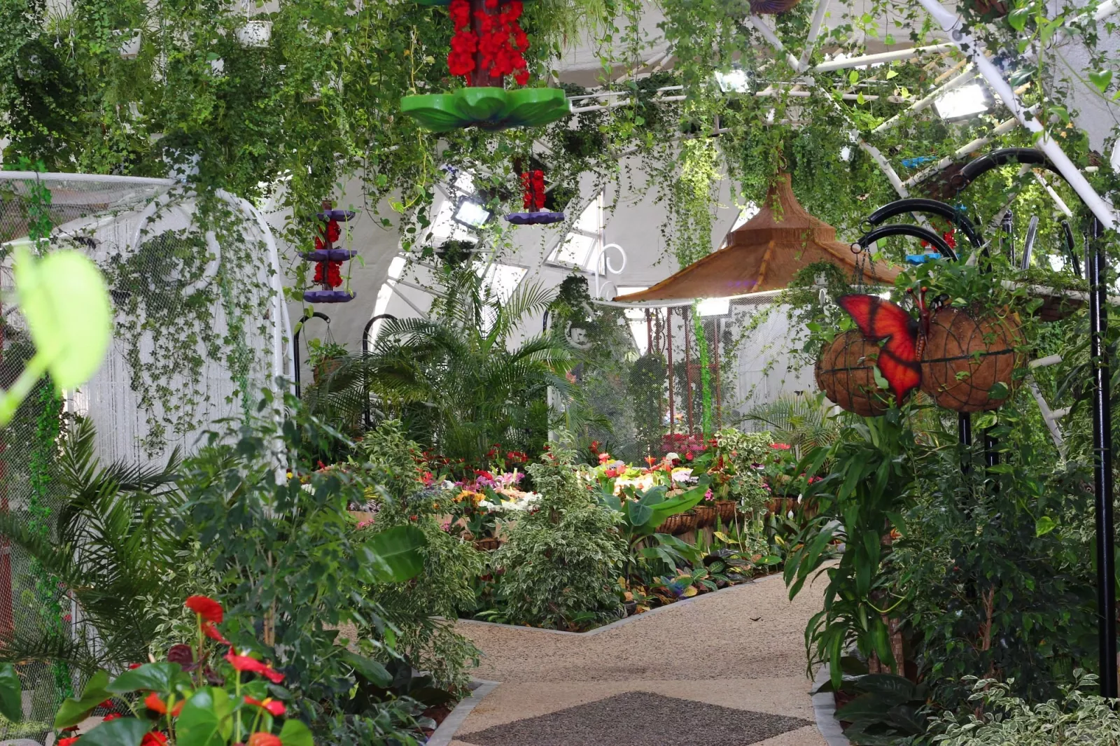 Большое фото 15