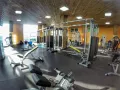 Миниатюра 8