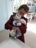 Миниатюра 3