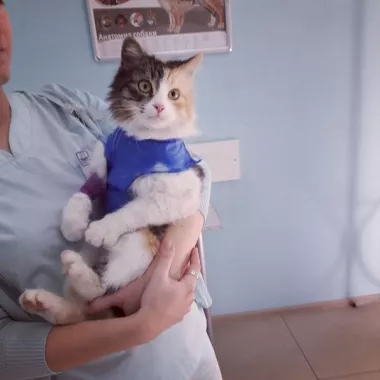 Ветеринарный центр "ZооКовчег".