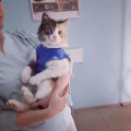 Миниатюра 6