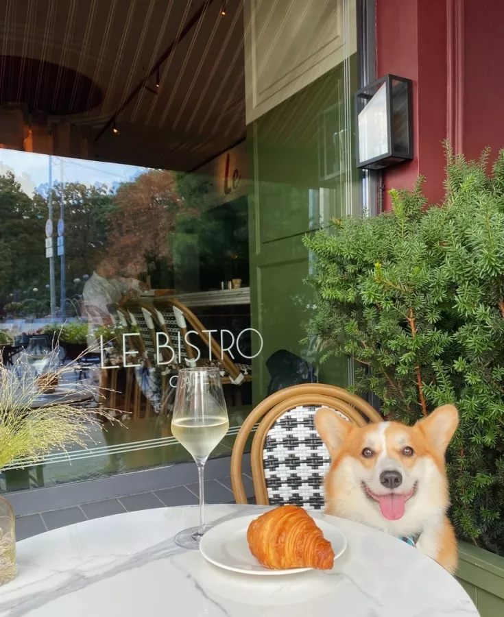 Ресторан Le Bistro в Ростове-на-Дону: Ресторан, Кафе, Классическая кухня, ЗОЖ кухня , Доставка,