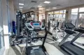Миниатюра 7