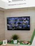 Миниатюра 7