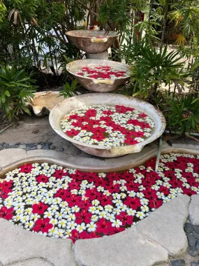Салон красоты «Nature Wellness Massage & Spa»