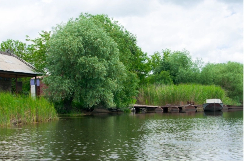 ​База отдыха "Лагутник".