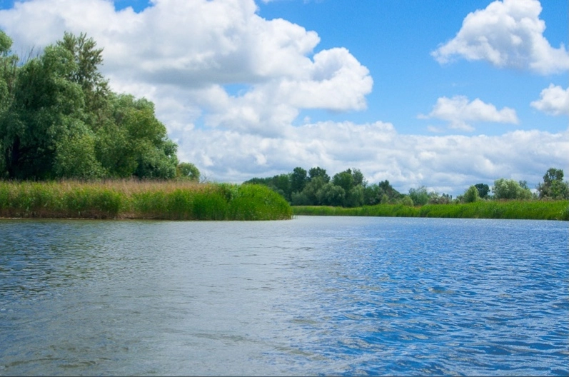 ​База отдыха "Лагутник".