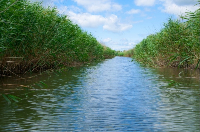 ​База отдыха "Лагутник".