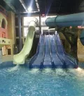 Миниатюра 8