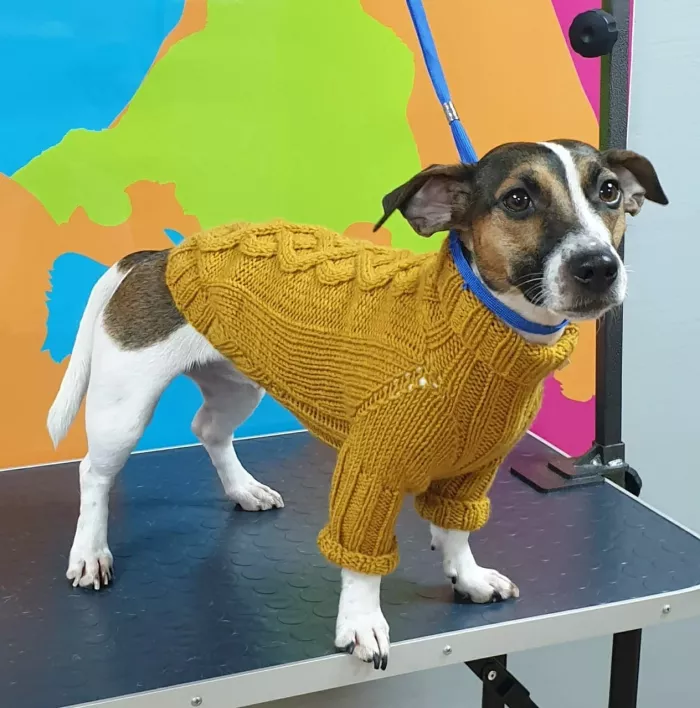 Зоосалон "Groom".