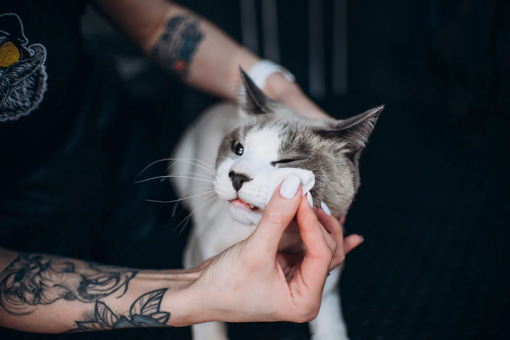 Зоосалон "БарберДог".