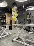 Миниатюра 15