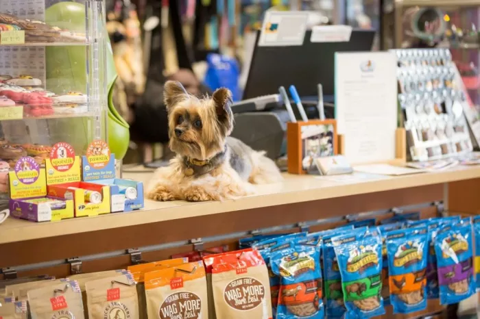 Зоомагазин "Друзья".