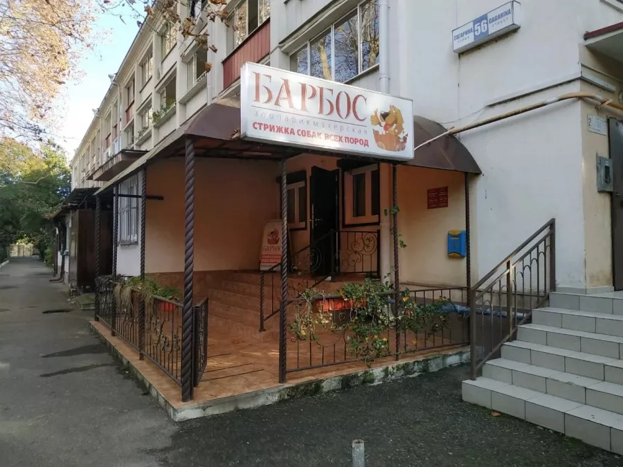 Зоосалон Барбос в Сочи: Зоосалон, Зоопарикмахерская, Питомцы, Груминг,