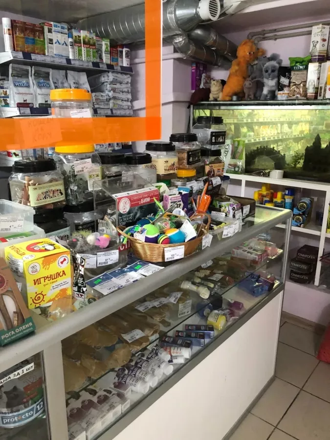 Зоомагазин на Воровского в Сочи: Зоомагазин, Зоотовары, Животные,