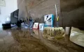 Миниатюра 9