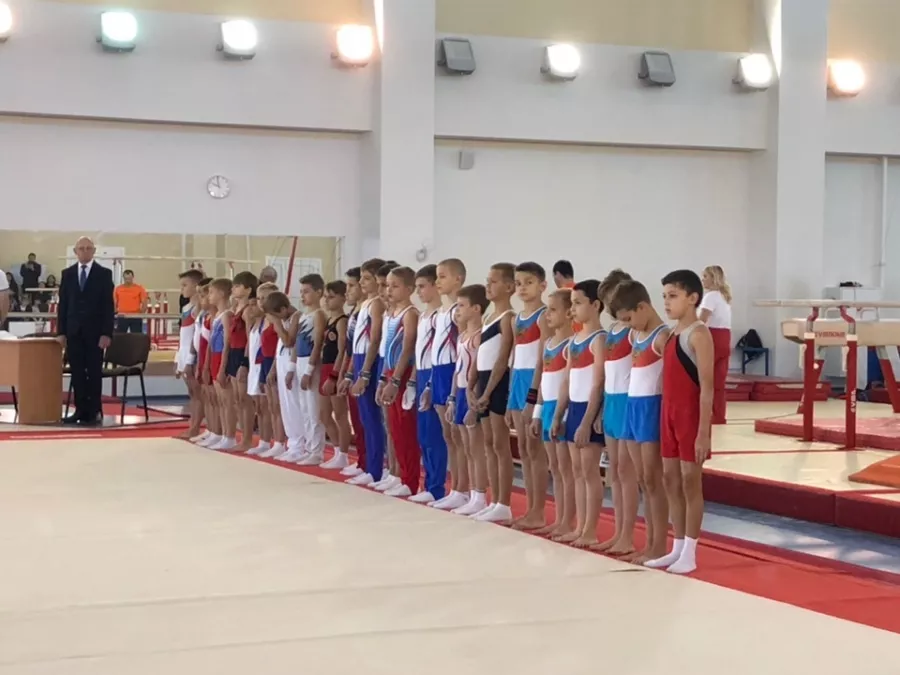 Школа спортивной гимнастики Тренер в Краснодаре: Гимнастика, Дети, Спортивная гимнастика, Дисциплина, Для души,