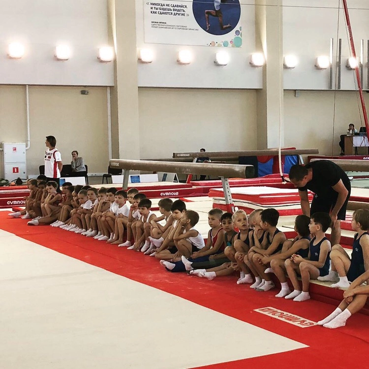 Школа спортивной гимнастики Тренер в Краснодаре: Гимнастика, Дети, Спортивная гимнастика, Дисциплина, Для души,