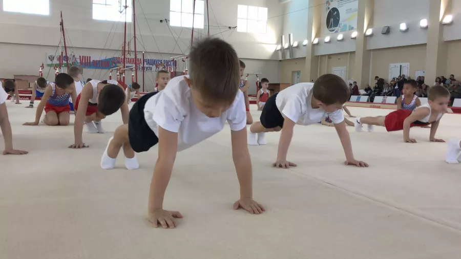 Школа спортивной гимнастики Тренер в Краснодаре: Гимнастика, Дети, Спортивная гимнастика, Дисциплина, Для души,