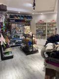 Миниатюра 5