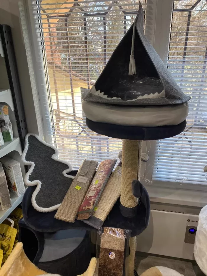 Зоомагазин "КлубZoo".