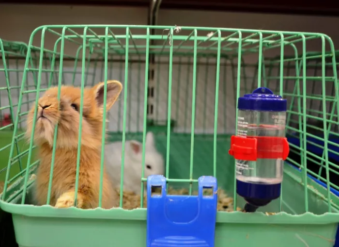 Зоомагазин "Нора" на Донской.