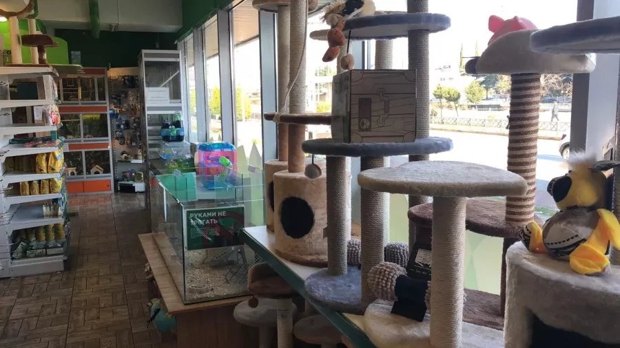 Зоомагазин Планета Zoo в Сочи: Зоомагазин, Зоотовары, Аквариум, Террариум, Животные,