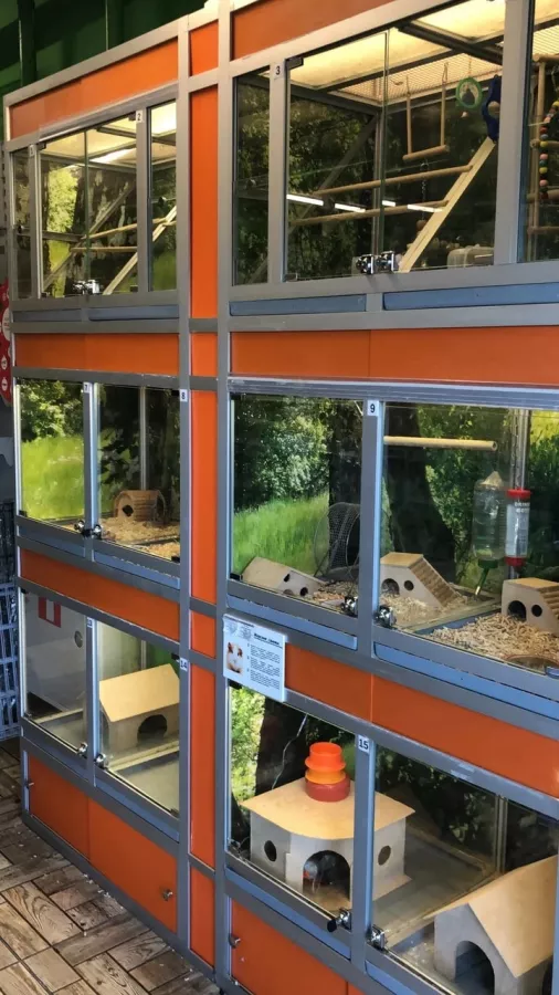 Зоомагазин Планета Zoo в Сочи: Зоомагазин, Зоотовары, Аквариум, Террариум, Животные,