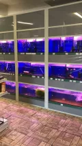 Миниатюра 8
