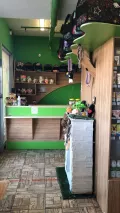 Миниатюра 10