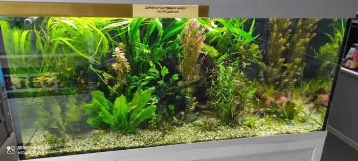 Зоомагазин "Премиум".